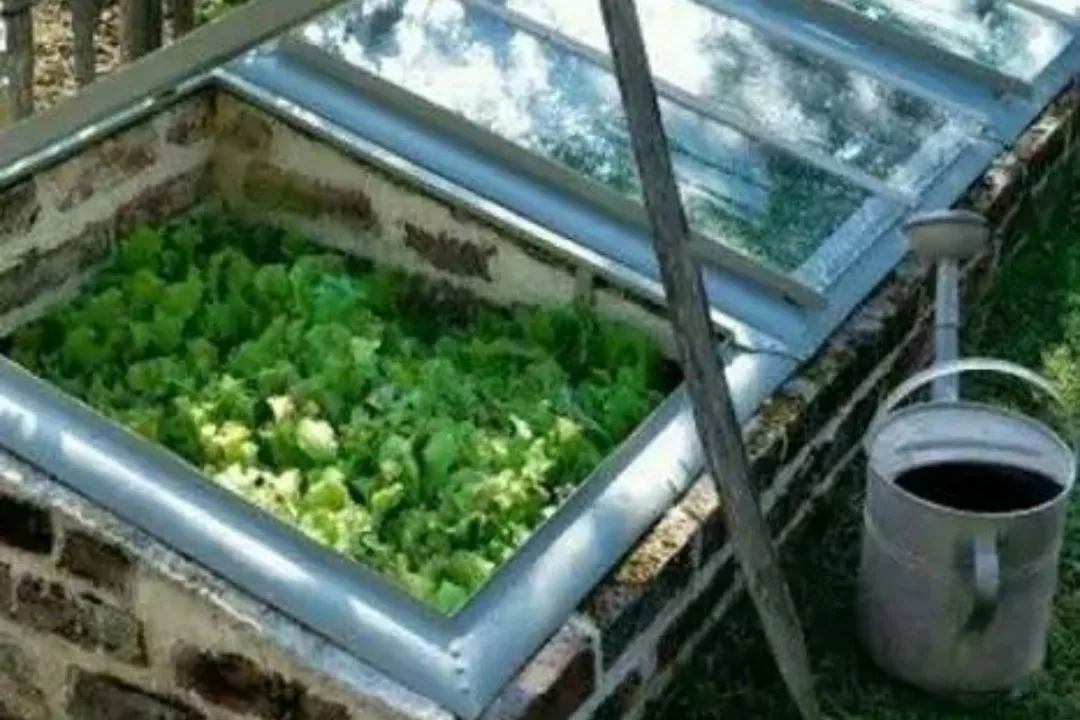 Repurposed Window Box