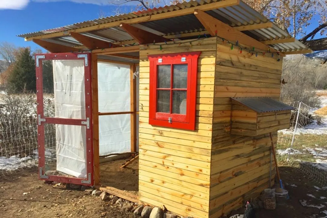 Salvaged Window Coop