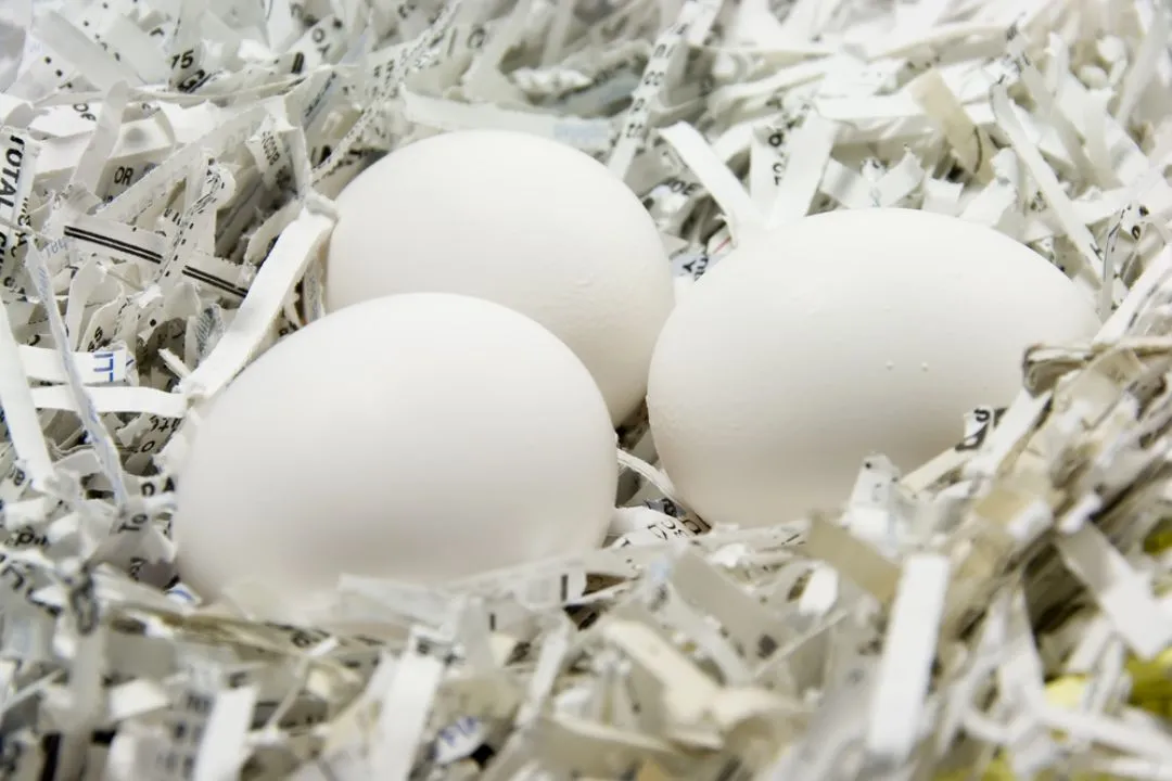 Shredded Paper Bedding for chickens