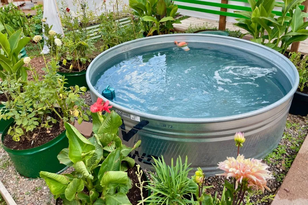 Steel Drum Planters