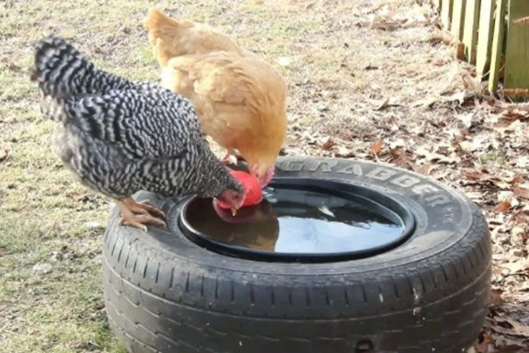 Tire Waterer