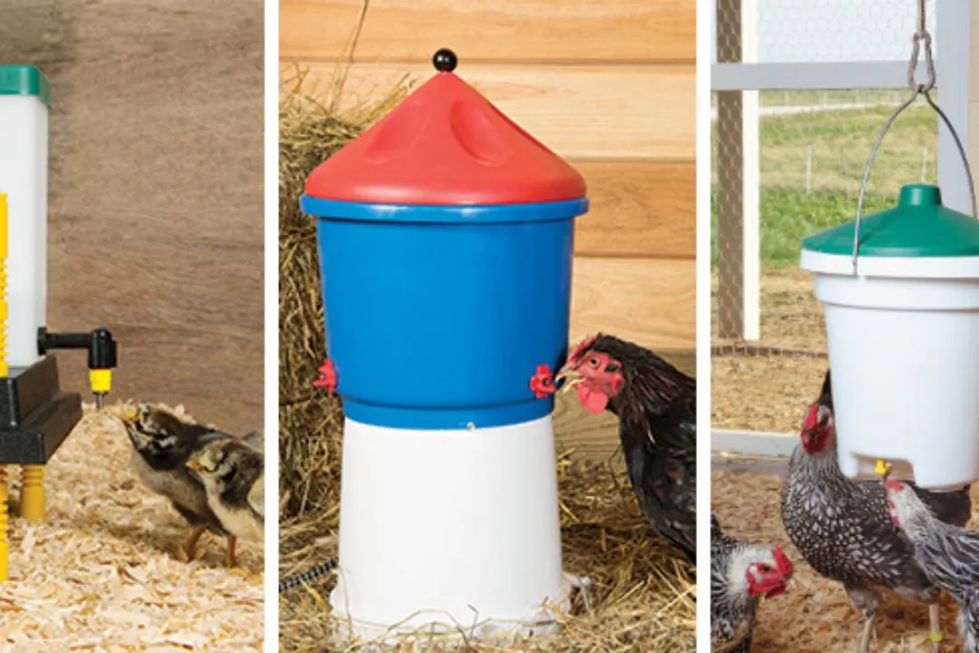 Trough Waterer with Nipples