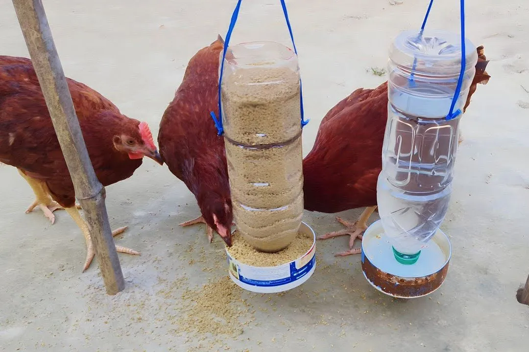 Upcycled Soda Bottle Waterer