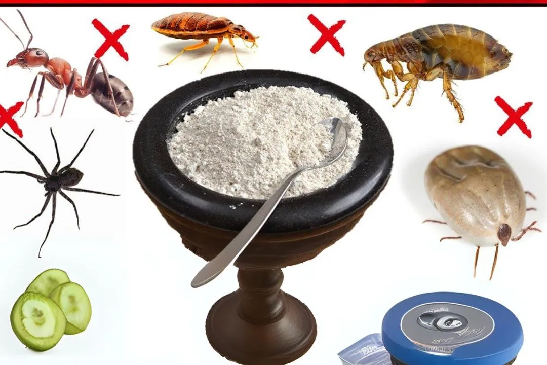 Which Pests Does Diatomaceous Earth Control?