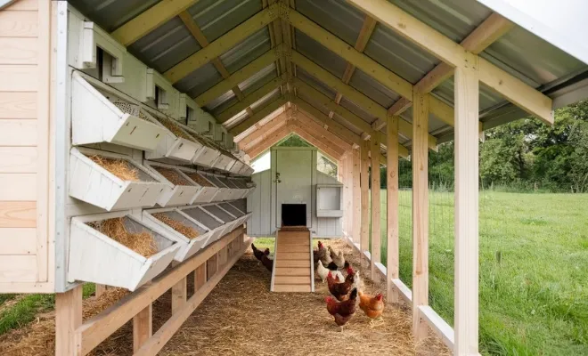 Walk In Chicken Coop Designs