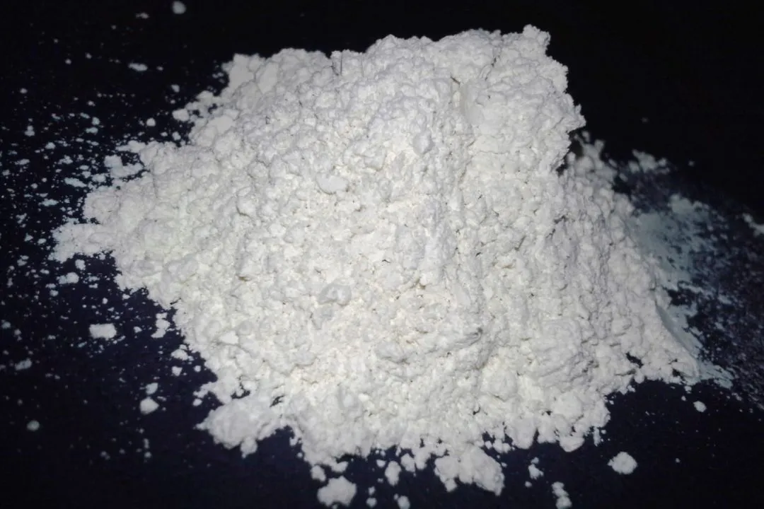 What is Diatomaceous Earth