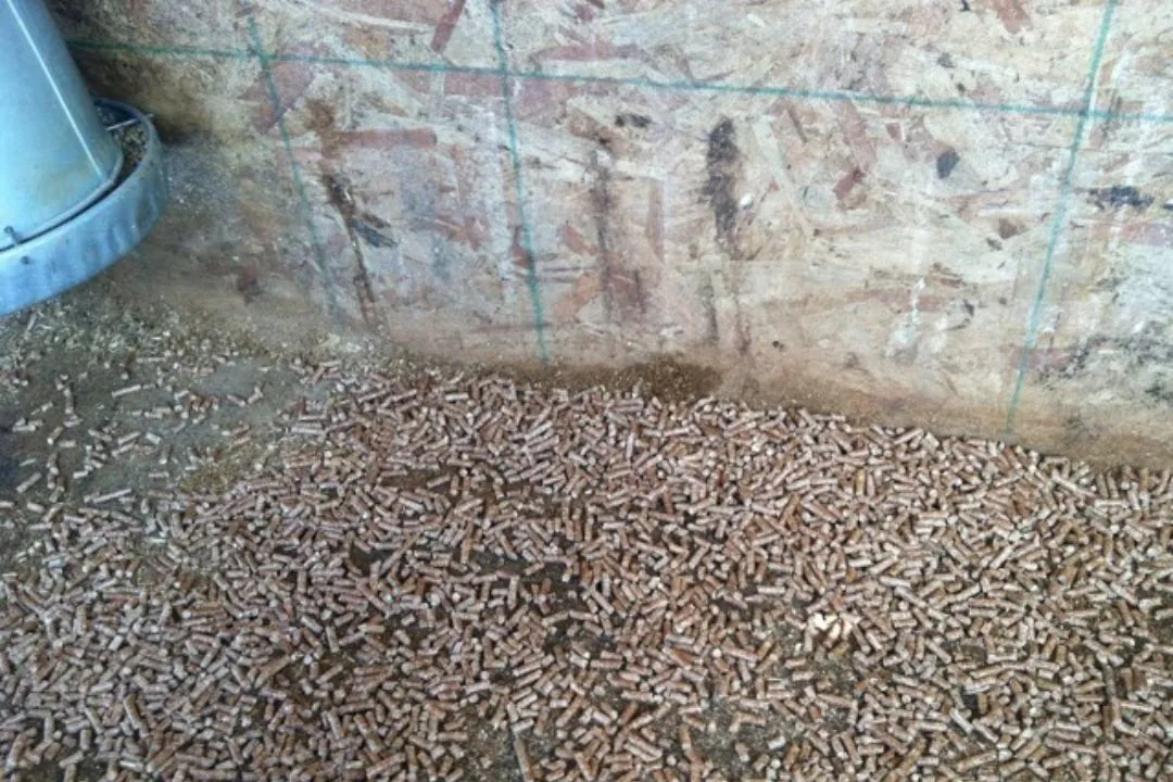 Wood Pellets for chickens coop