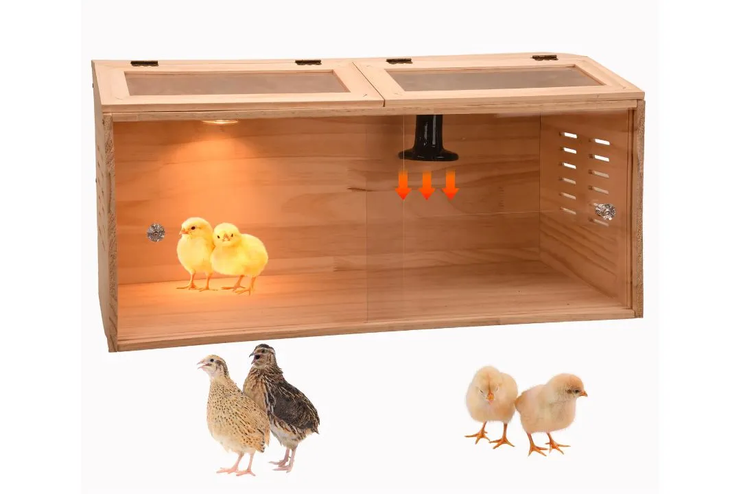 Wooden Box Brooder