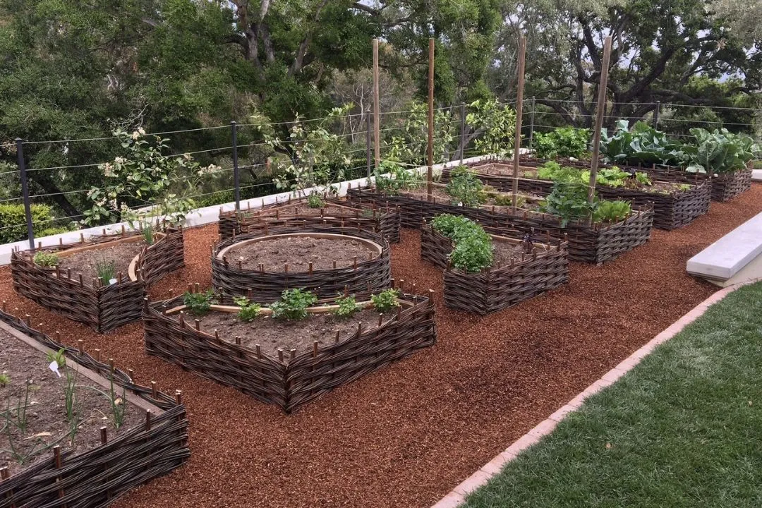 Woven Willow Bed