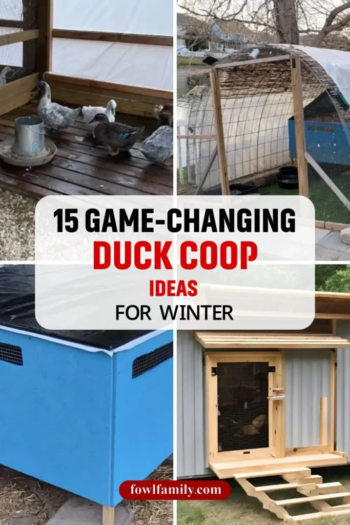 15 GAME CHANGING DUCK COOP IDEAS FOR WINTER