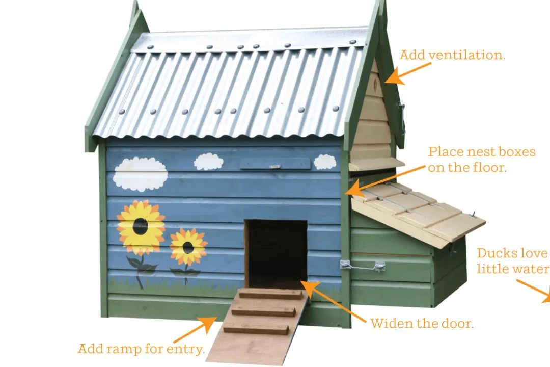 Dedicated Nesting Area for winter Duck Coop