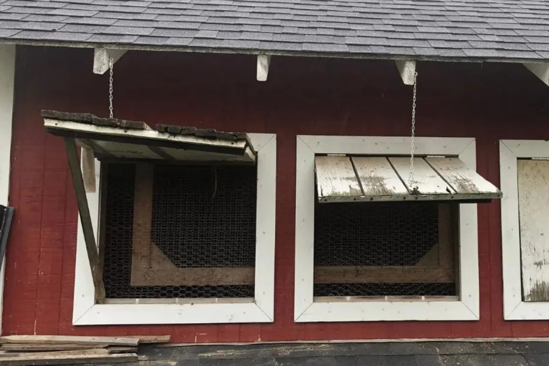 Draft-Free Ventilation System for winter Duck Coop