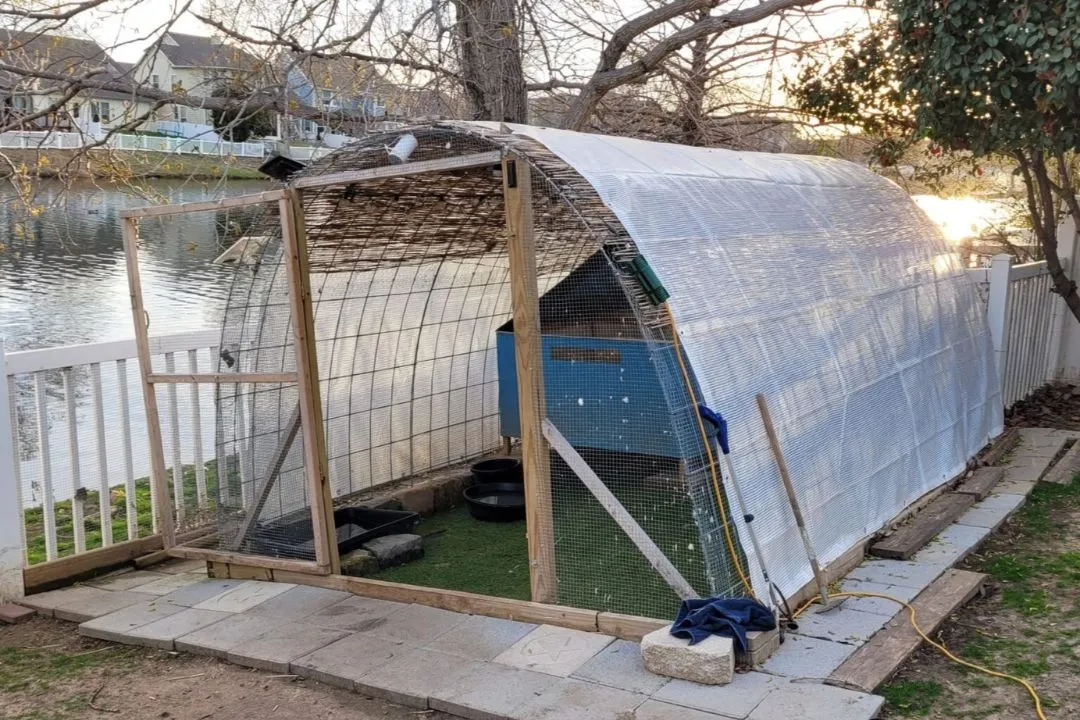 Enclosed Run with Weather Protection for winter Duck Coop