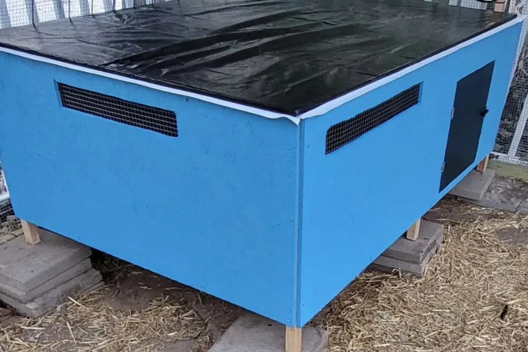 Heat-Reflective Interior for winter Duck Coop