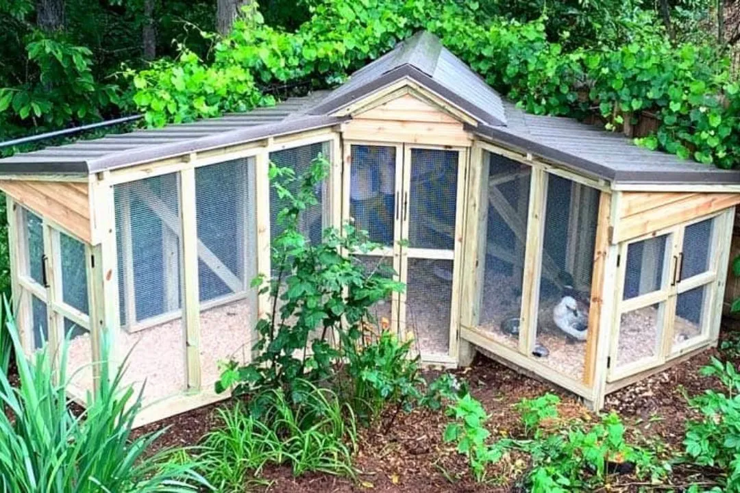 Wind-Break Barrier Design for winter Duck Coop