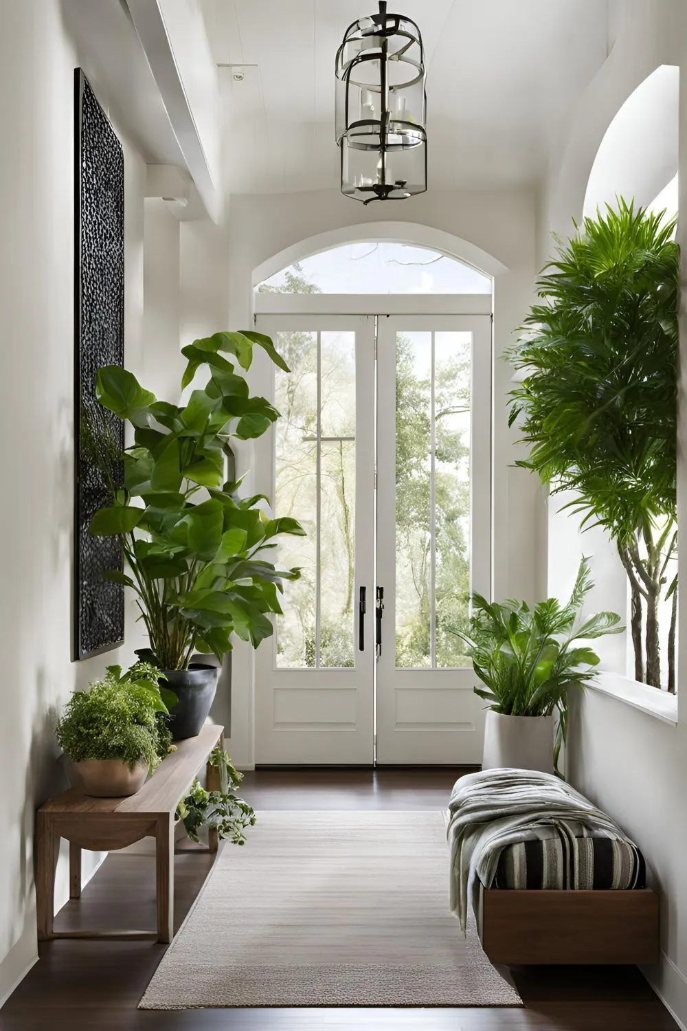 Indoor Plants