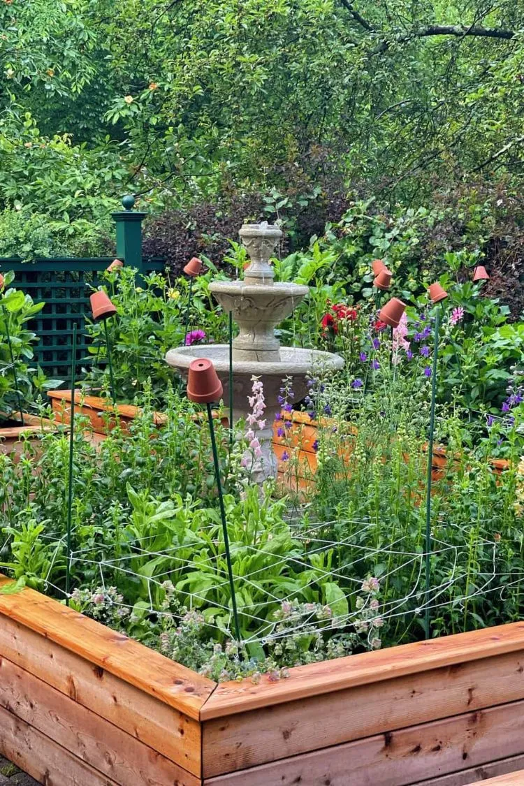 Start a Vegetable or Herb Garden