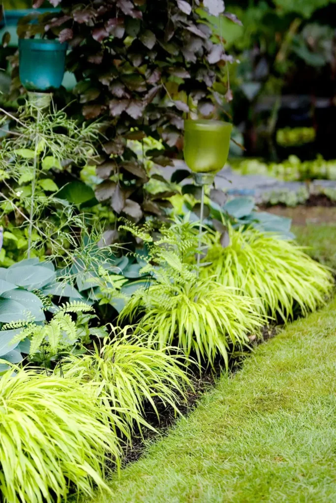 Flowering Shade Border