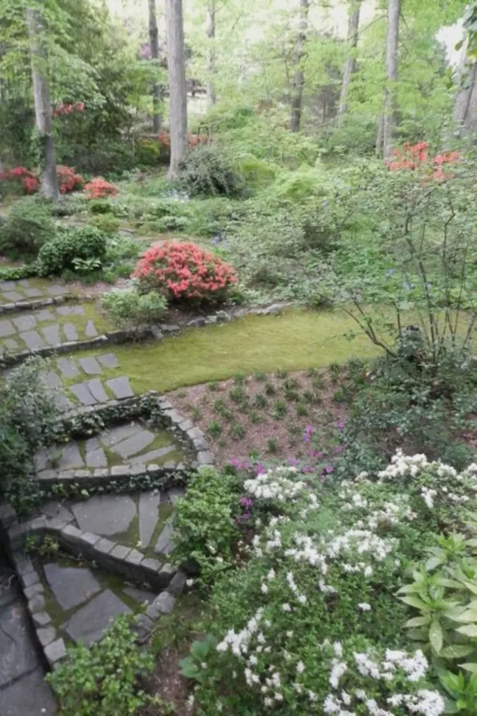 Moss Garden