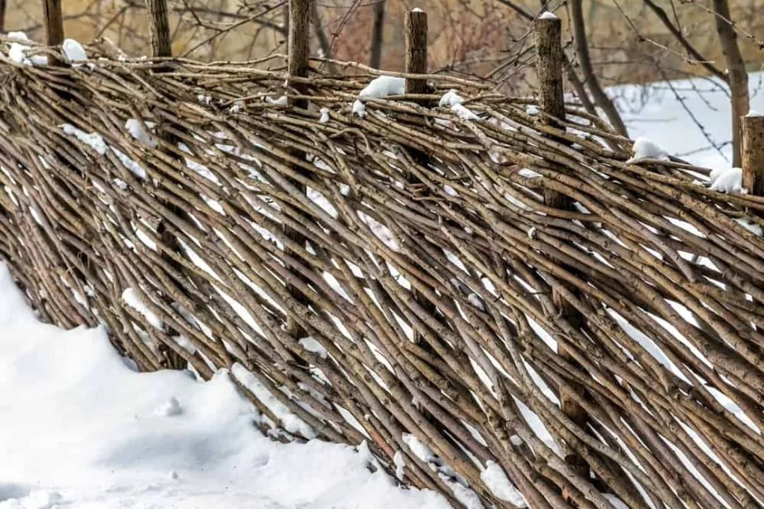 Natural Branch Fence