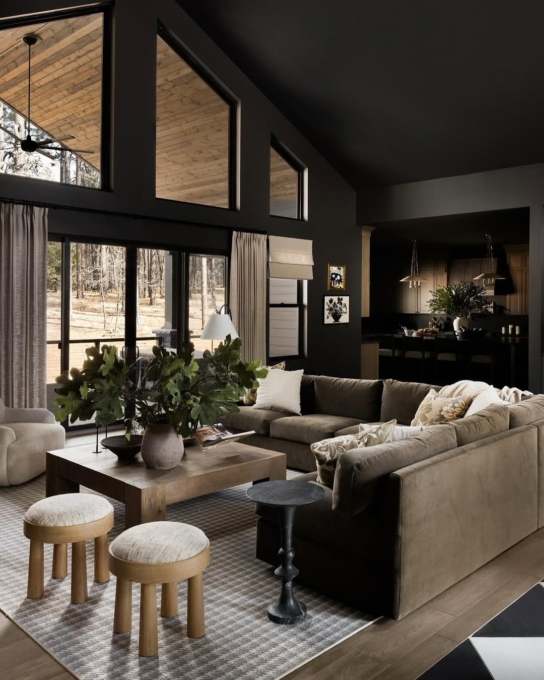 Plush Textures Dark Feminine Living Room