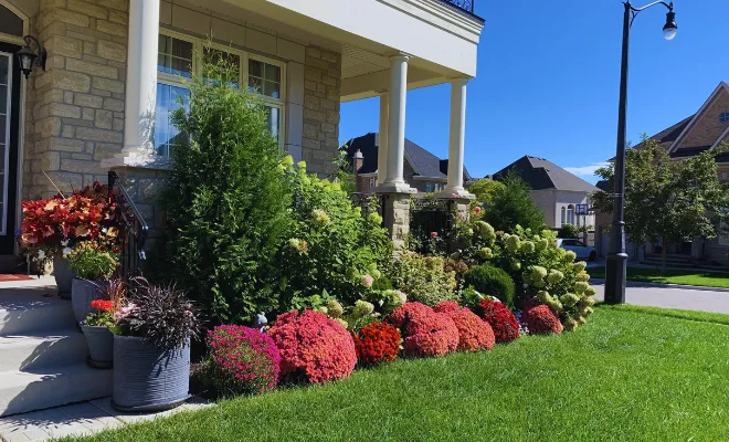 Shady Flower Bed Ideas
