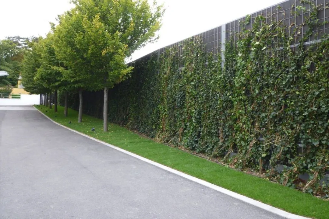 Sound-Absorbing Green Wall