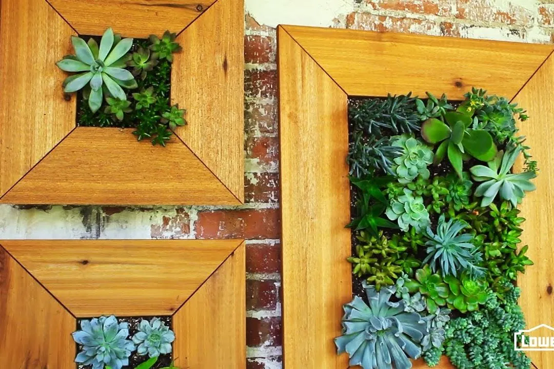 Succulent Living Picture Frames