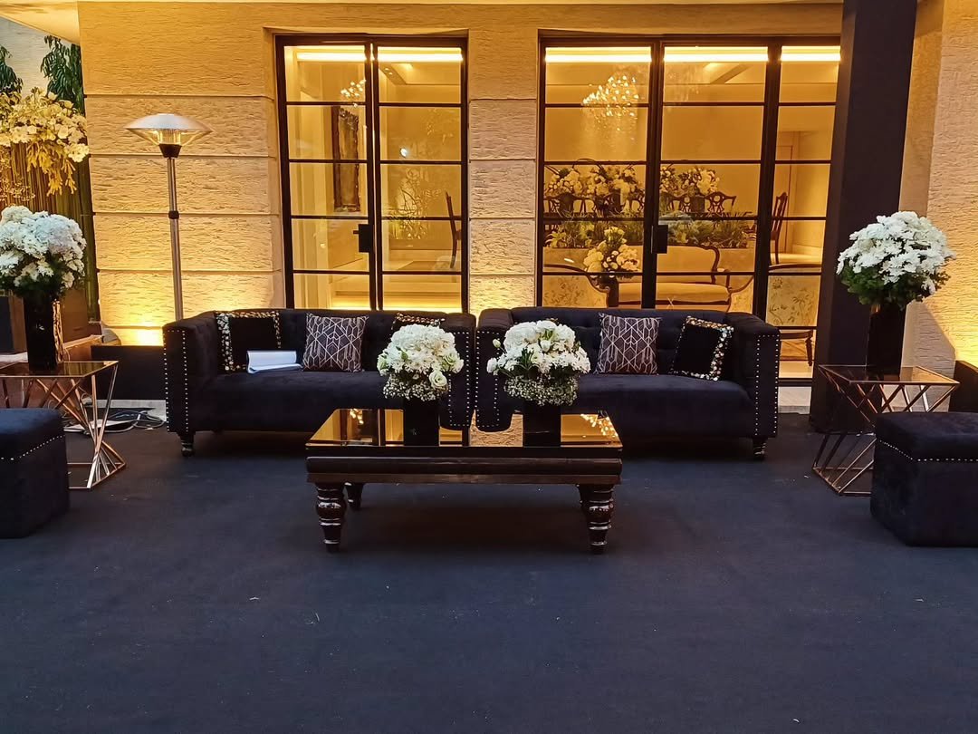 Velvet Statement Sofa Dark Feminine Living Room
