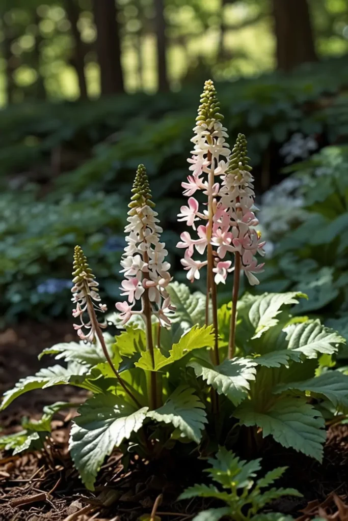 Wildlife-Friendly Shade