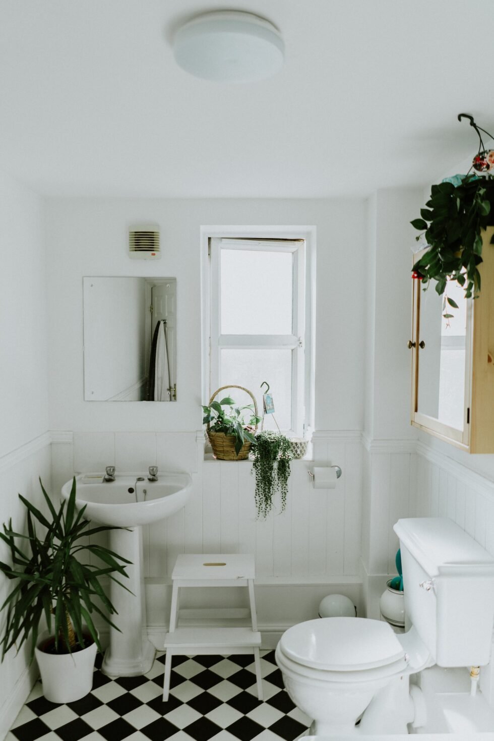 Indoor Plants in Scandinavian Bathroom