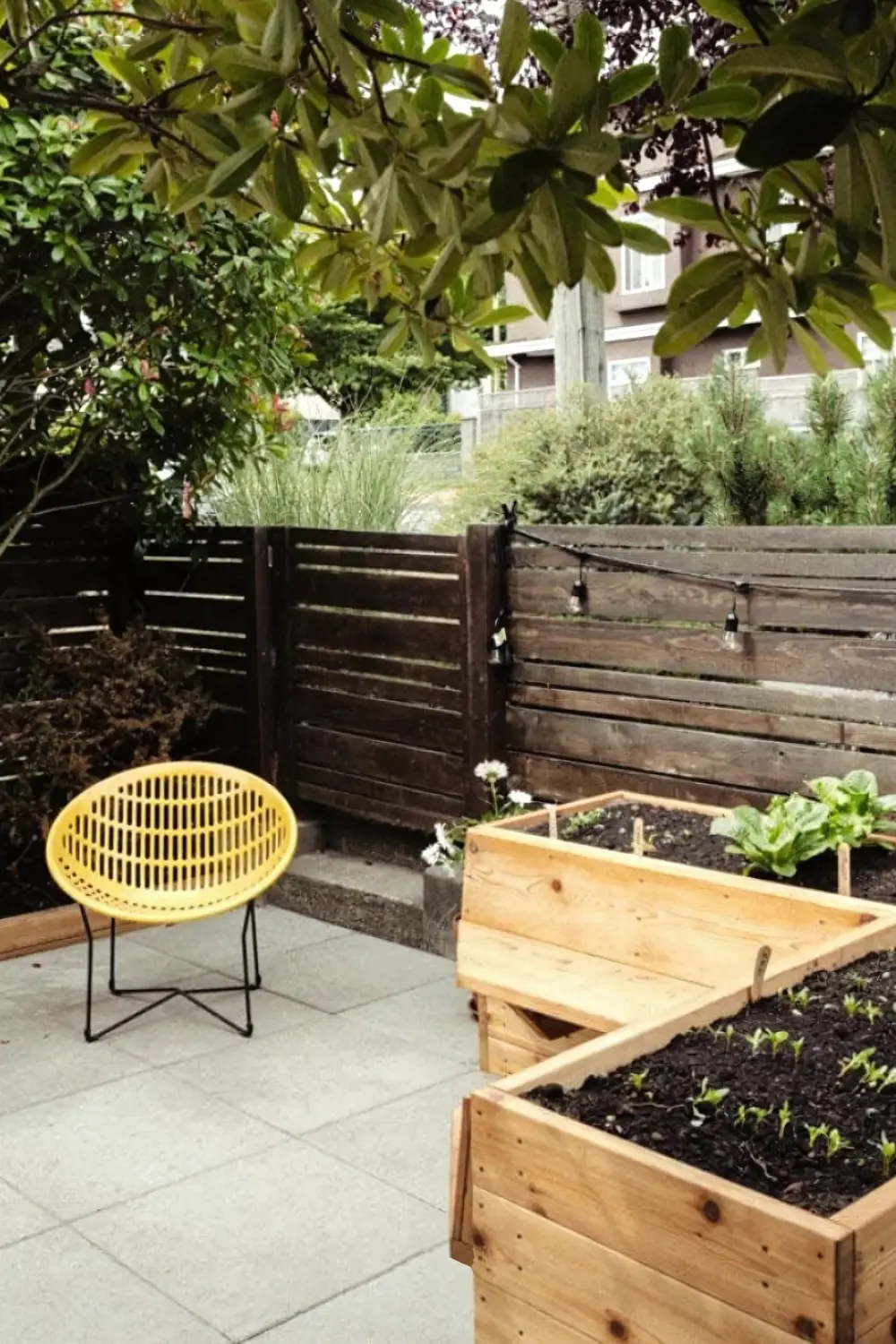 Raised Garden Beds