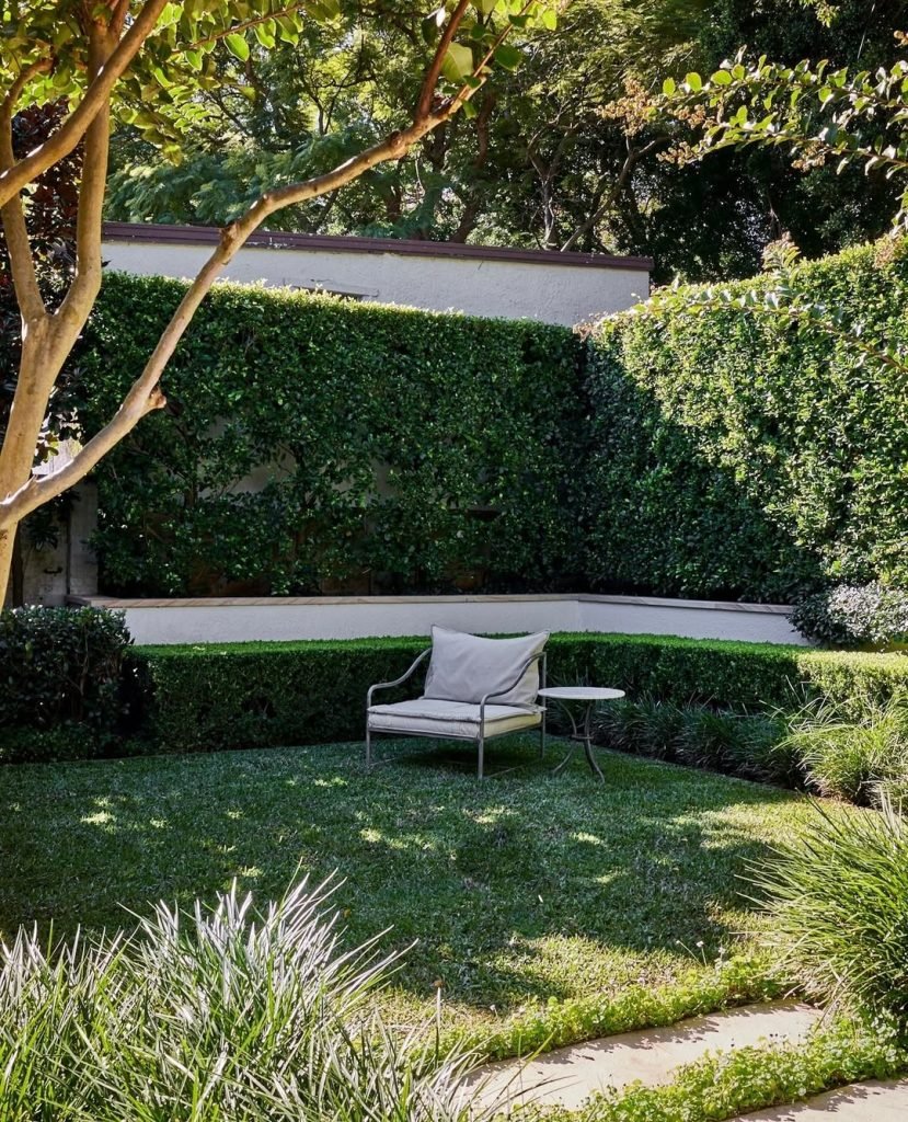 Tall Hedges for Front Yard Privacy