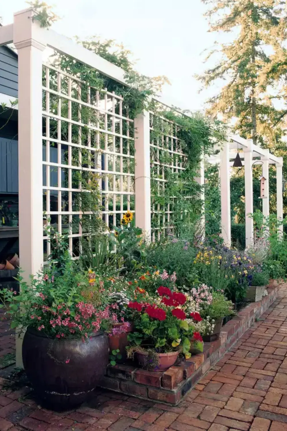 Trellis Dividers