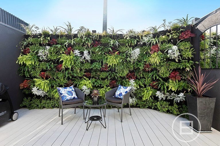 Vertical Gardens for Front Yard Privacy