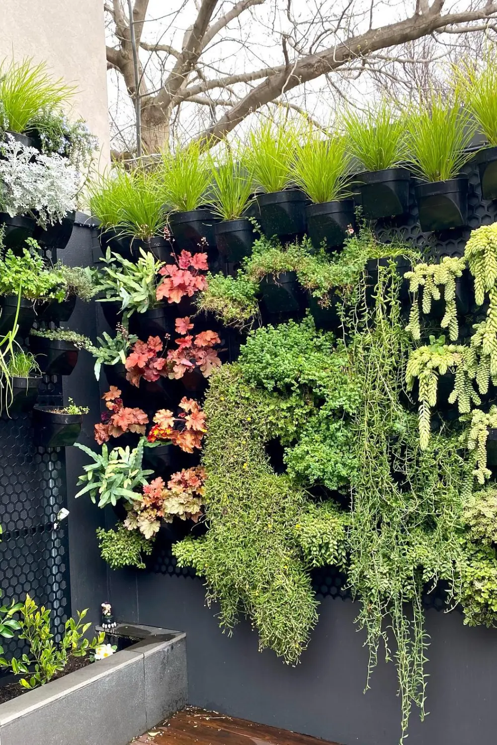 Vertical Gardens