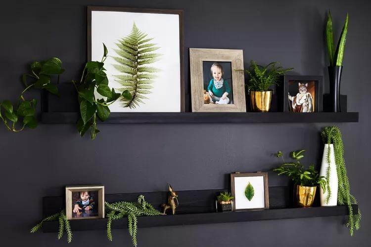 Bold Black Backdrop Gallery Wall Ideas with Shelves
