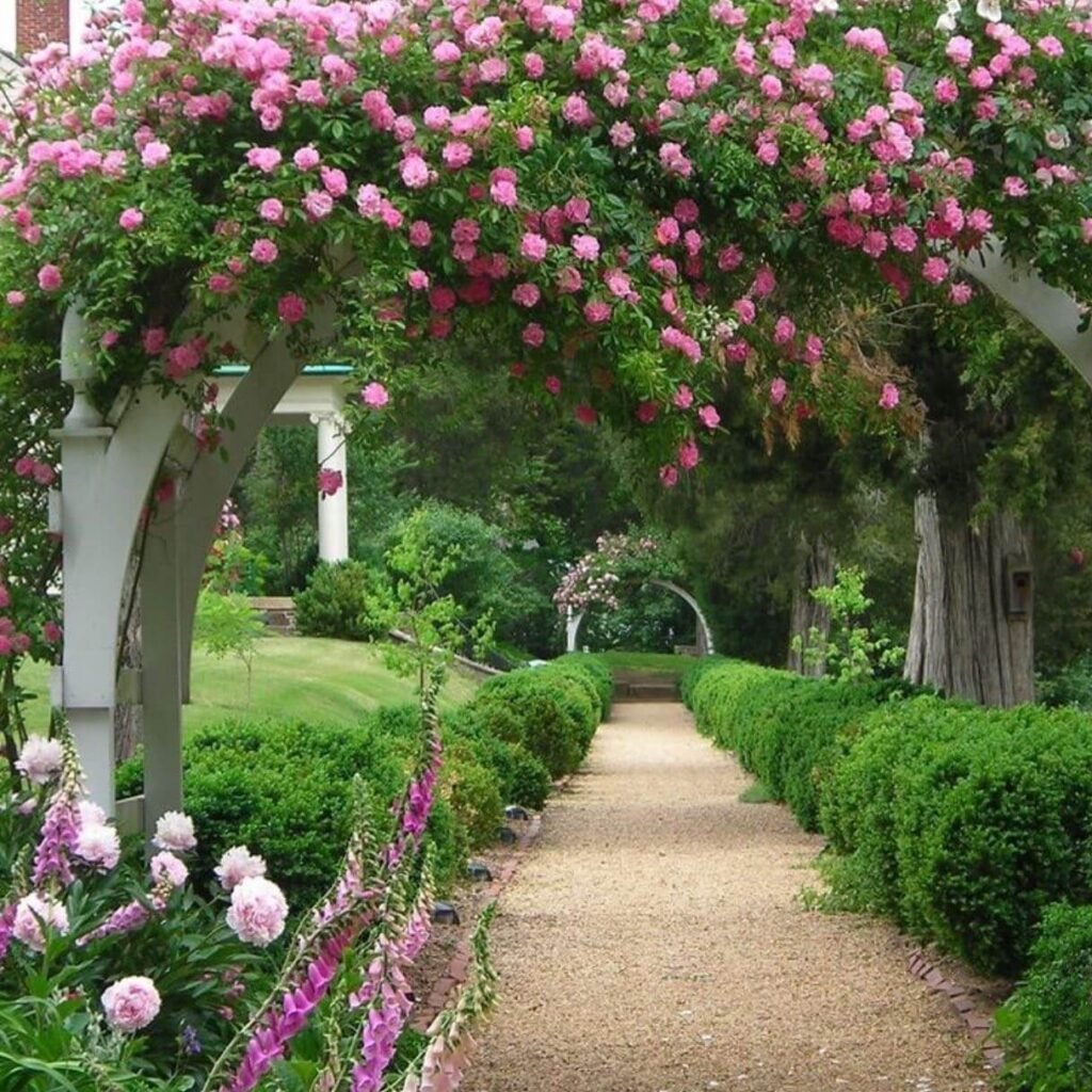 2. Romantic Rose Covered Archway Path