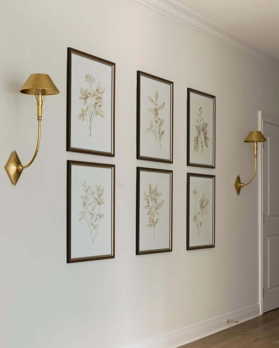 Botanical Elegance with Brass Accents for Hallway Gallery Wall