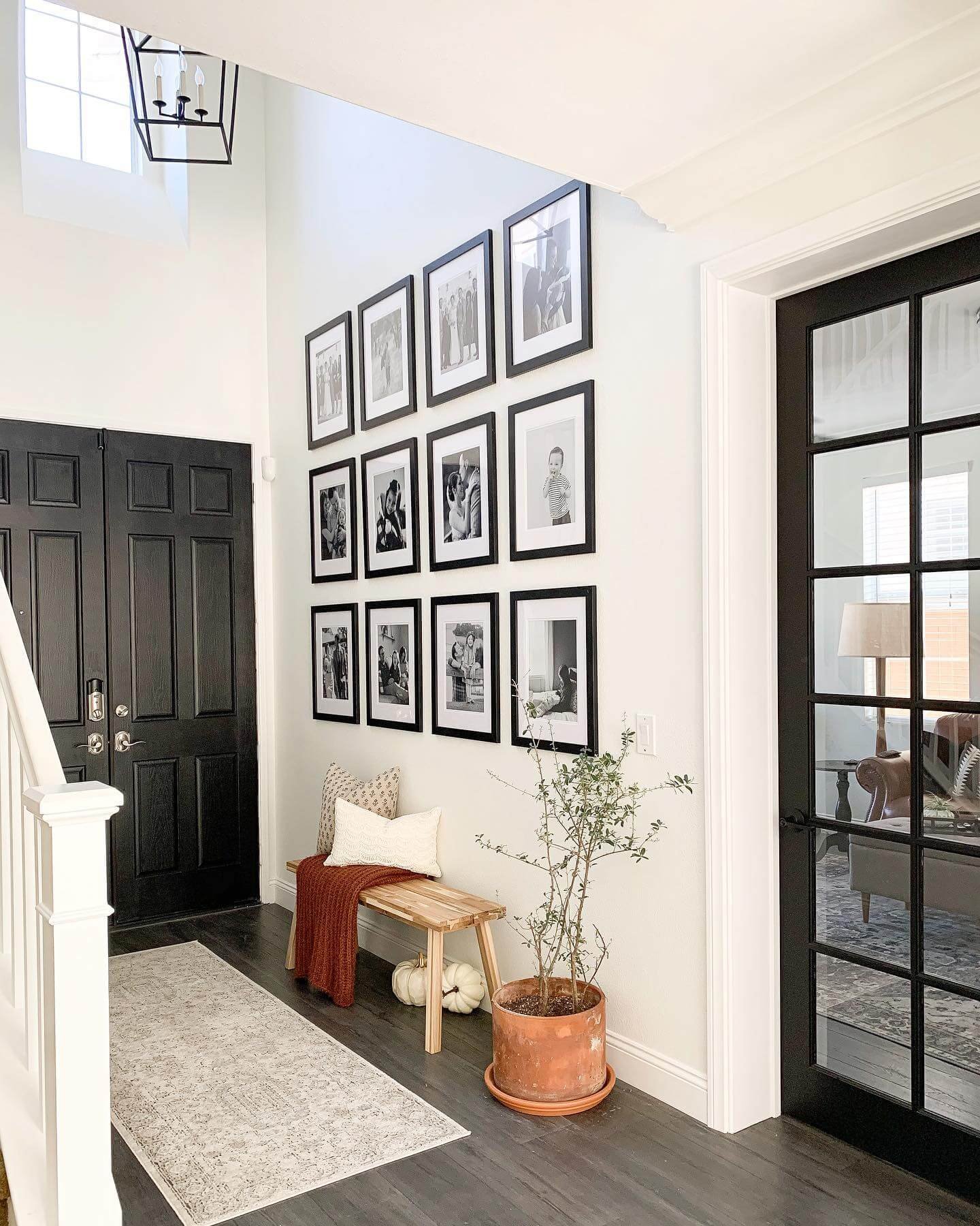 Black & White Theme for Entryway Decor Ideas