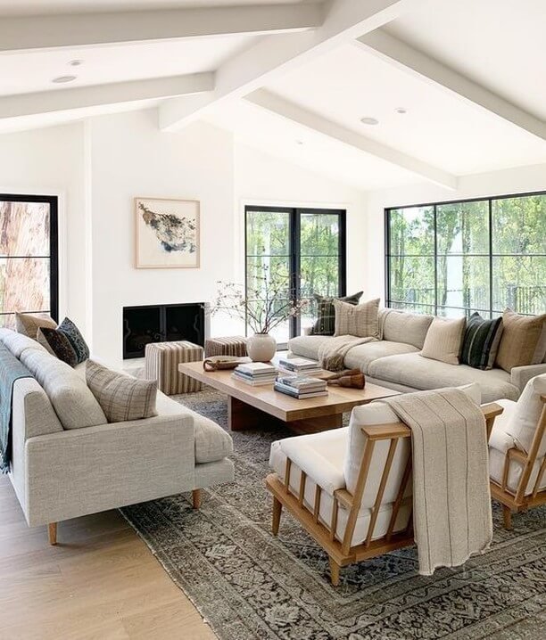 Open, Airy Living Room with Moody Living Room