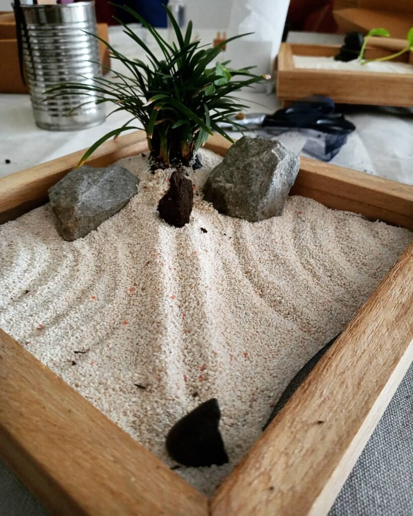 Miniature Zen Gardens with Real Stones and Grass Plant