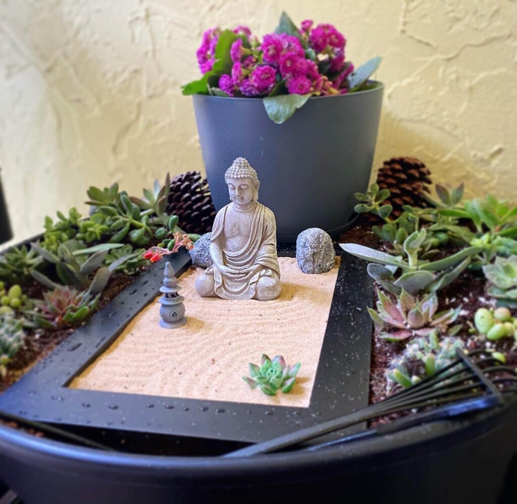 Miniature Zen Gardens by Living Succulents