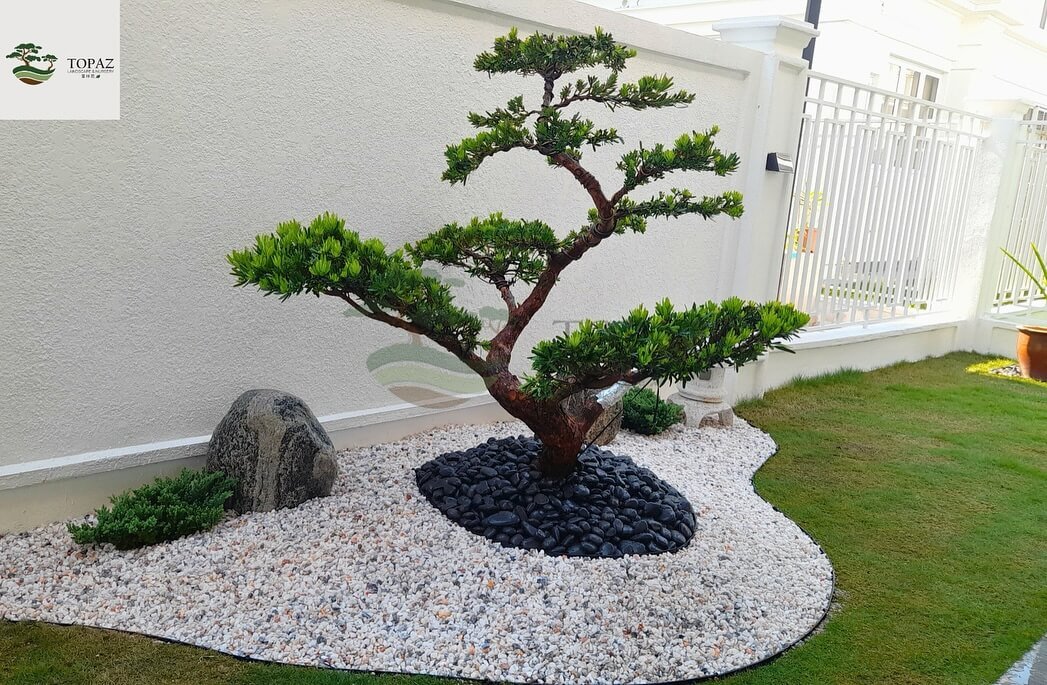 Miniature Zen Gardens for Corner Garden with Flow and Form
