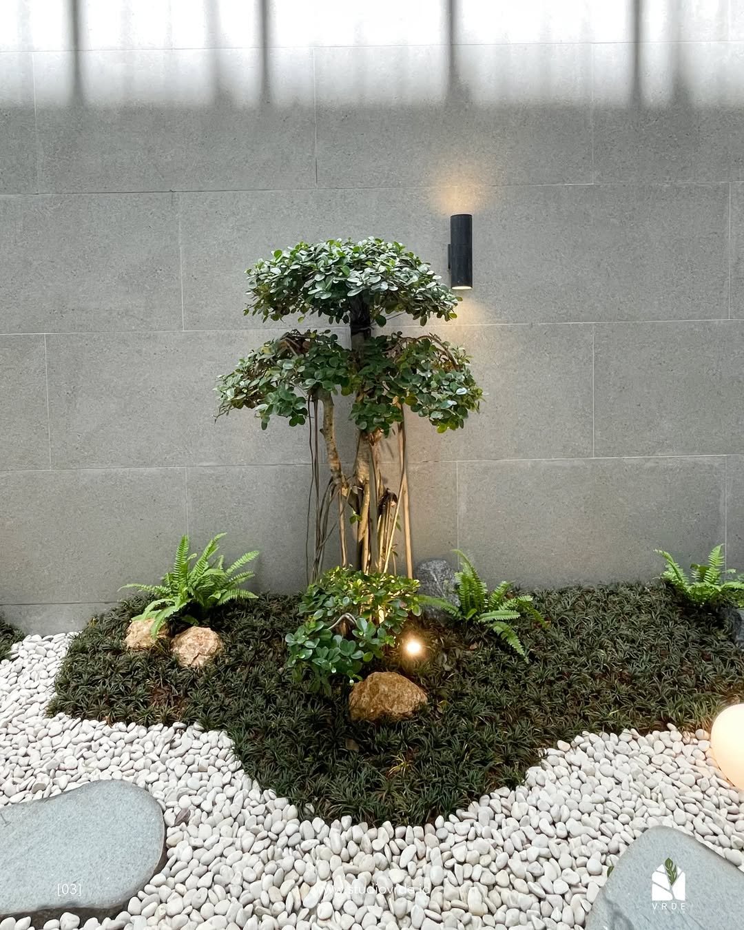 Backyard Tranquility for Japanese Zen Gardens