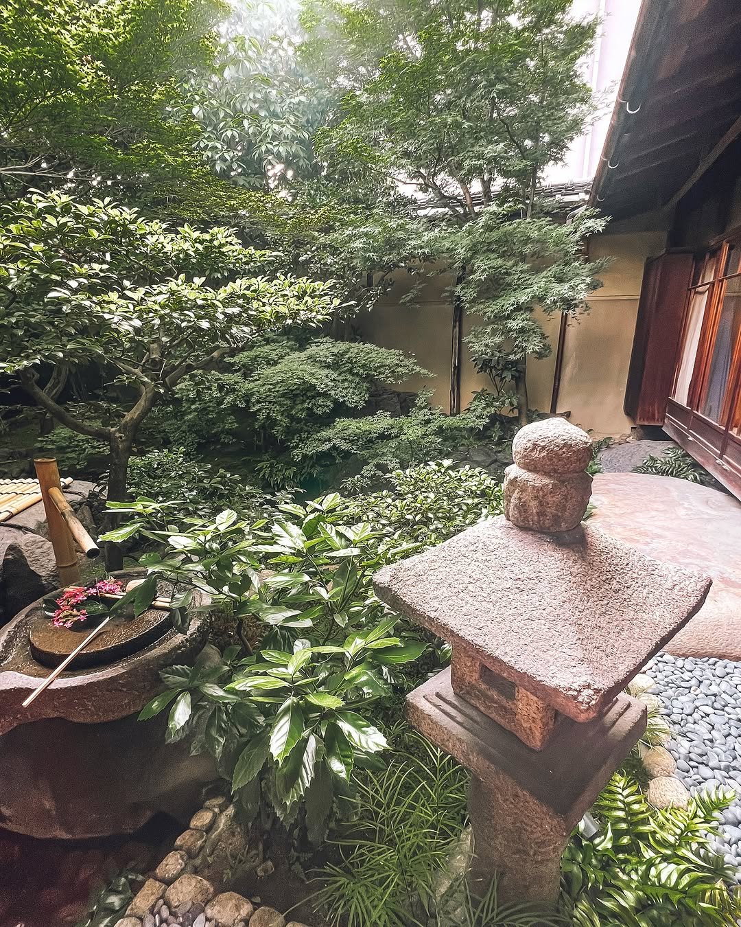 Nature’s Canvas for Japanese Zen Gardens