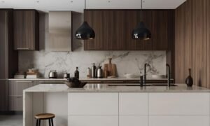 contemporary kitchen cabinets