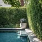 backyard pool privacy ideas