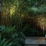 backyard privacy ideas on a budget