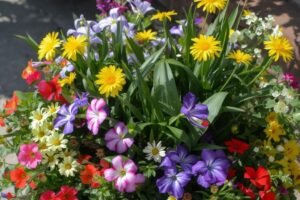 Spring planter ideas
